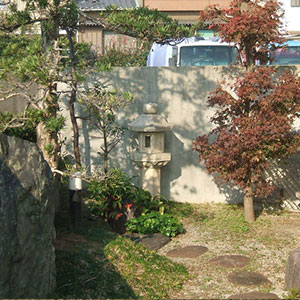 和室前の庭