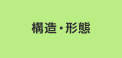 構造・形態