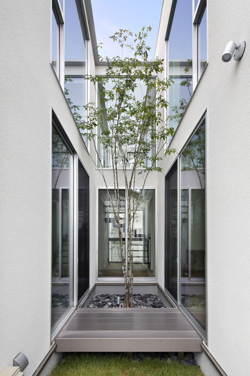 細長い中庭スペースには、圧迫感の少ないアオバノキをシンボルツリーとしてチョイス。