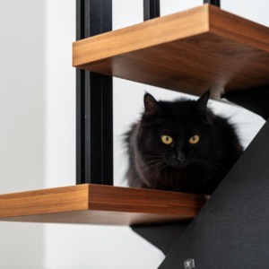 リビング：オープン階段は、猫ちゃん’ｓがキャットウォークのように遊べる場所になっているそう♪