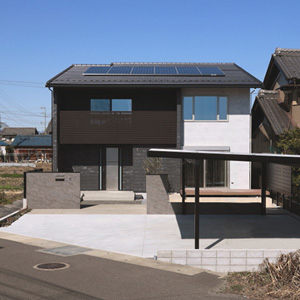 Freedom Style House