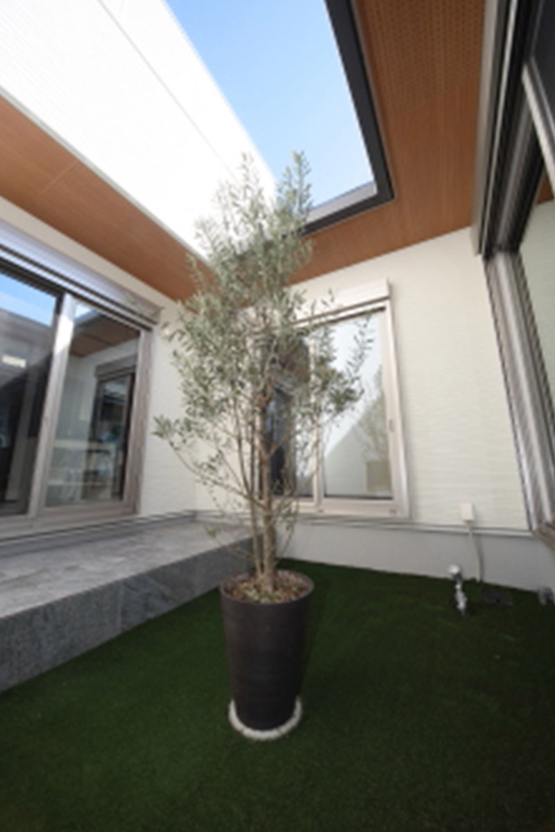 プライベート空間だけではなく、建物内への通風、採光の役割を持つ中庭。				