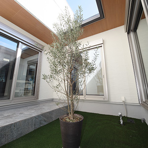 プライベート空間だけではなく、建物内への通風、採光の役割を持つ中庭。				