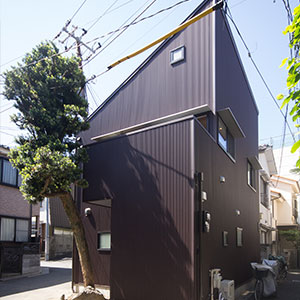 makinoki House