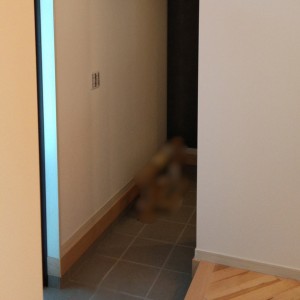 ヘリンボーン無垢床が迎え入れてくれる家