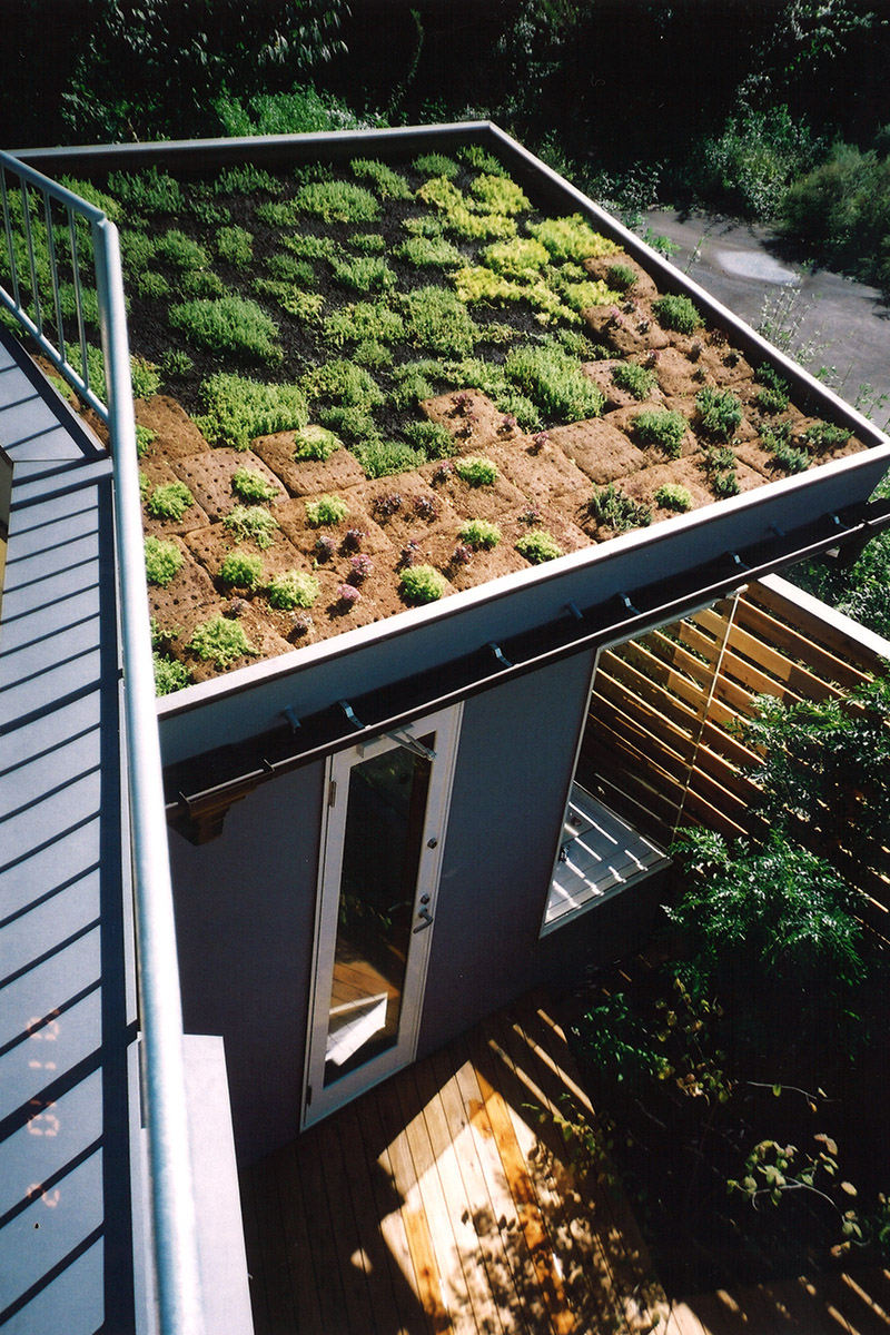 緑化屋根：竣工1年後の緑化屋根の状態です。小鳥たちが運んできた種から雑草が芽をだして草屋根になっています。中庭と屋根、緑がいっぱいの住まいになっています。