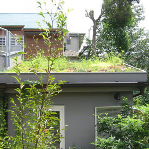緑化屋根：竣工1年後の緑化屋根の状態です。小鳥たちが運んできた種から雑草が芽をだして草屋根になっています。中庭と屋根、緑がいっぱいの住まいになっています。