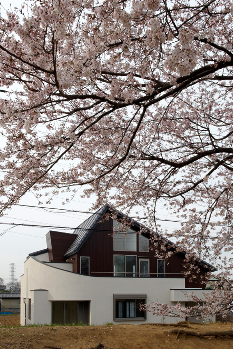 満開の桜越しに見る