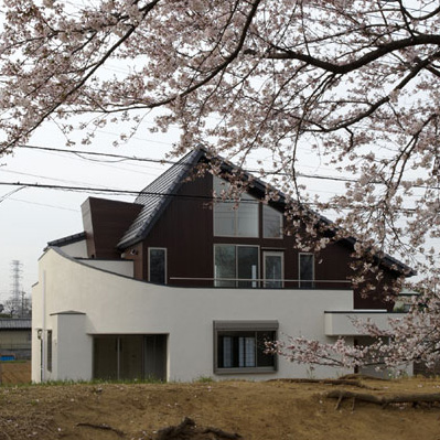 満開の桜越しに見る