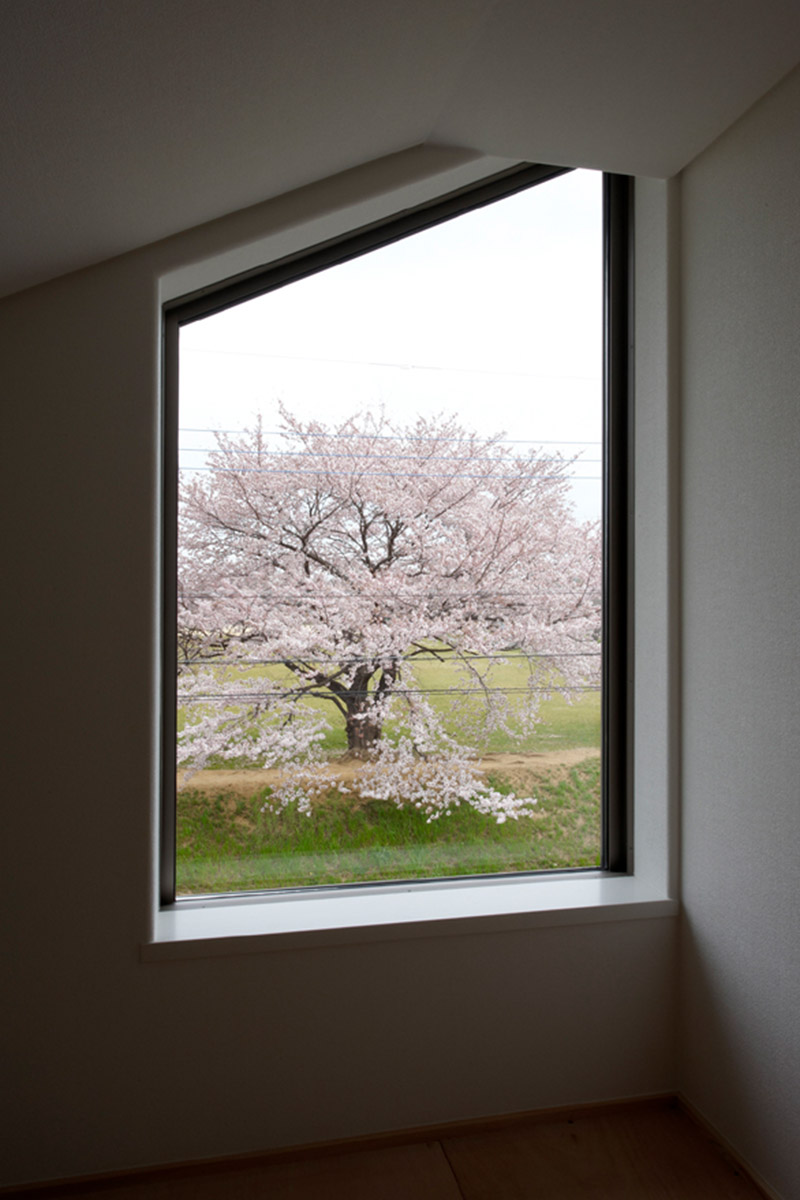 ロフトから桜を見る