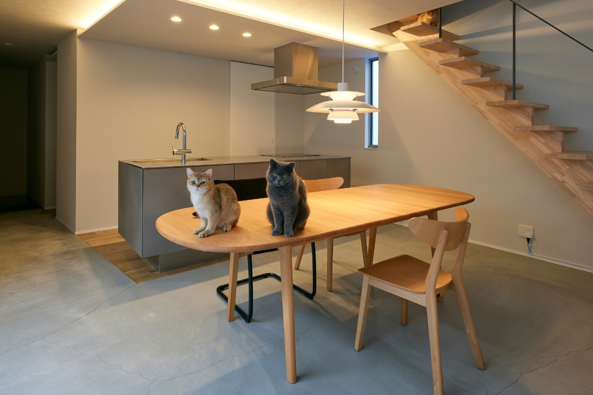 ダイニング・キッチン