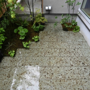 森林認証木材　伐採からはじまる家づくり