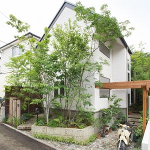 静かな森を感じる家