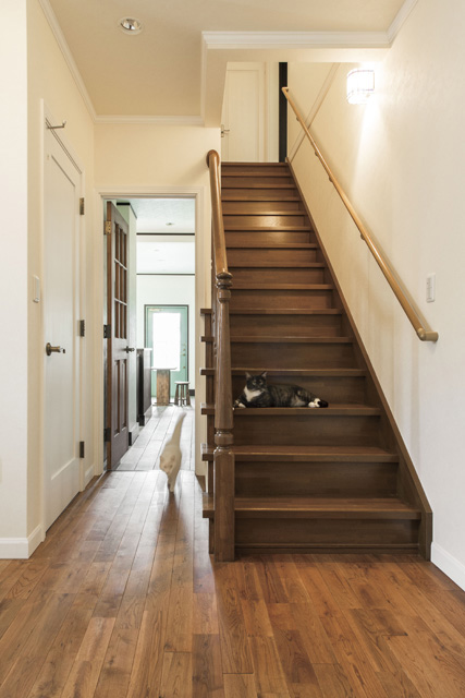 ペットと暮らす家間取りの工夫