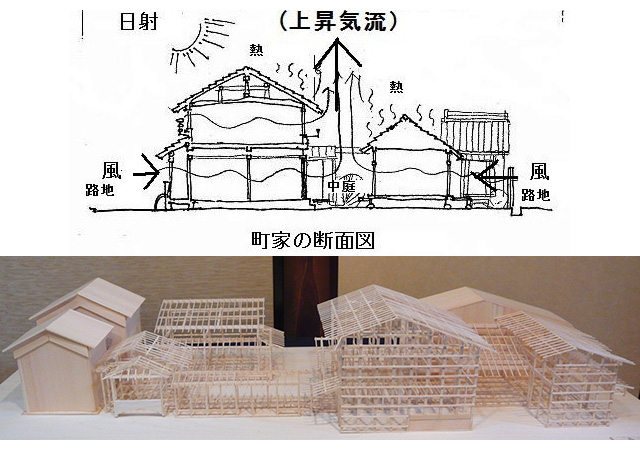 イラスト１：京都の町家は巨大な換気扇？その仕組みは？　模型：町家の断面模型（画：天野彰）