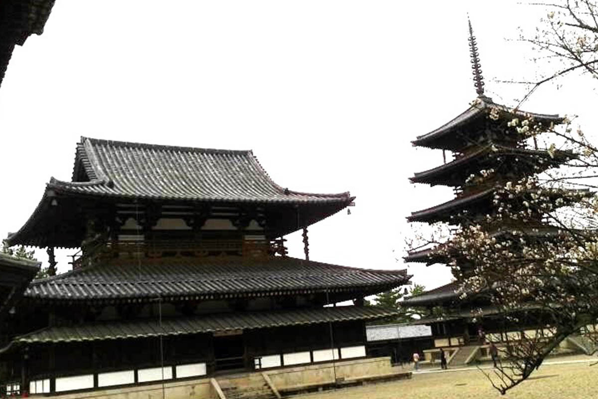 写真：今も変わらぬ法隆寺の伽藍五重塔と金堂を老梅越しに拝む（撮影：天野 彰）