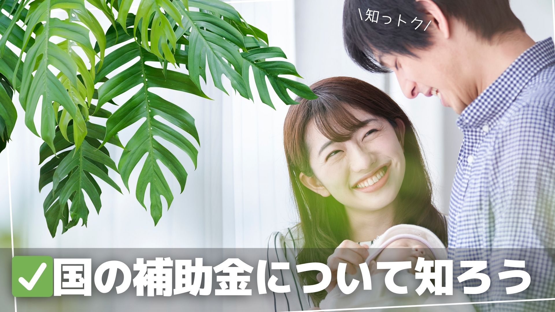 国の補助金制度 サムネイル