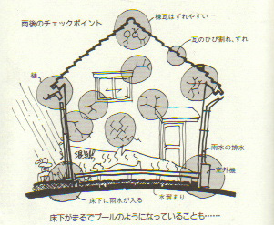 雨後の点検　ポイント