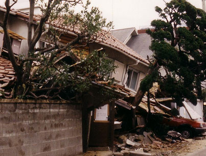 阪神・淡路地震被害例(天野彰)