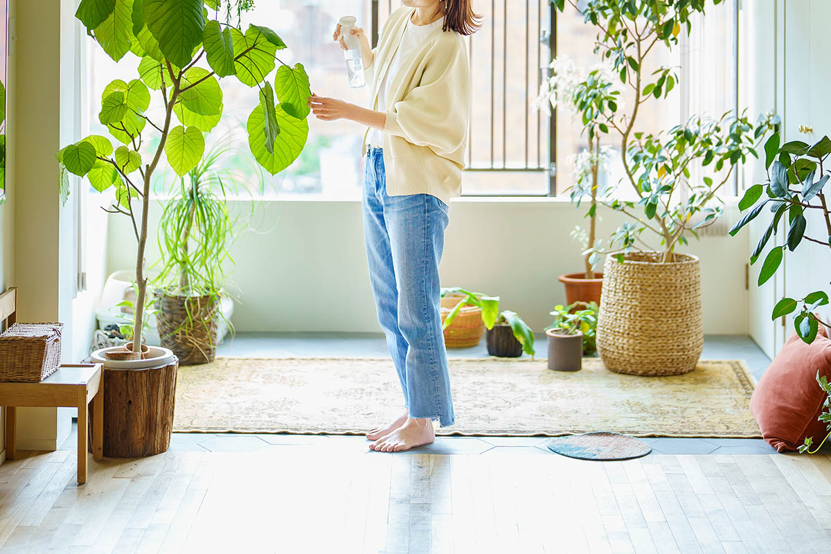 部屋の観葉植物に水をあげる女性