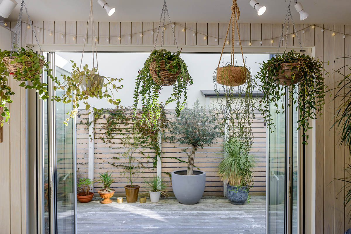 観葉植物インテリアおしゃれな照明