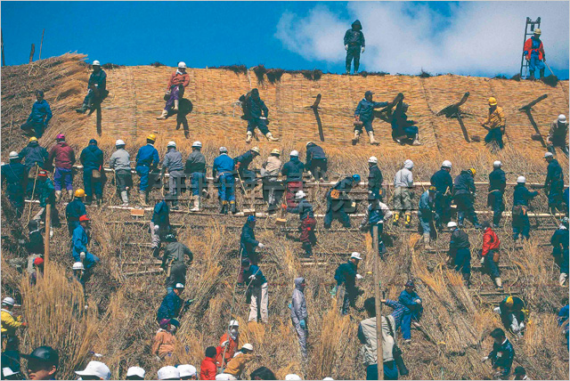 写真：300年も村人の結でもたらされた白川郷のわら葺き屋根全景と明善寺（写真：白川村役場）