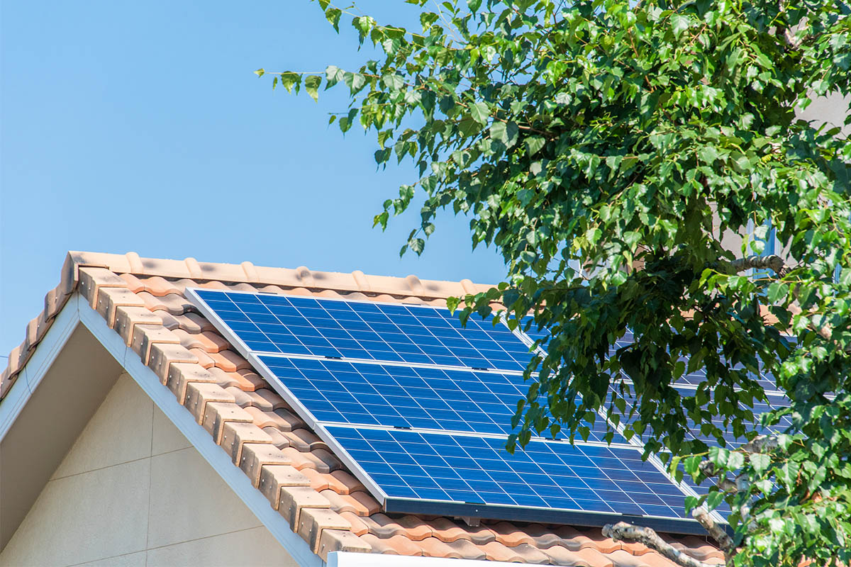 【環境イメージ】太陽光パネルが設置された住宅の屋根と快晴の青空と新緑の葉っぱ