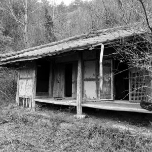 高齢になると、住まいの【資産価値】維持への関心が薄れる？<q>空き家</q>のもつ、数多くのリスク
