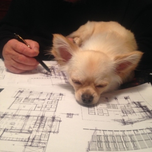 ペットと住む家【３】ペットの暮らしと生涯