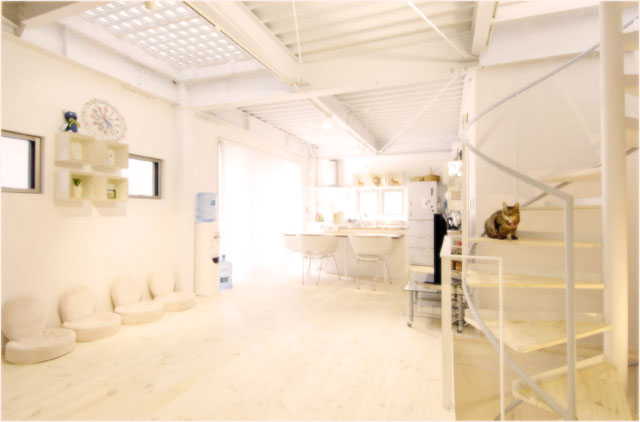 リビングは機能面の他に、デザイン面も重視したリノベーションが人気