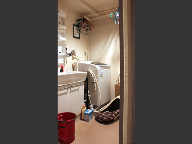 before 洗面脱衣所