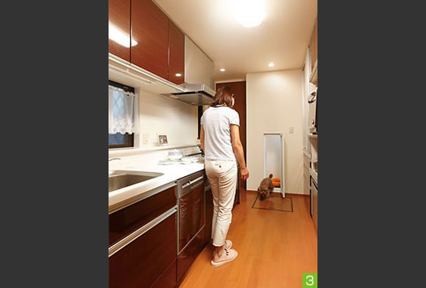 愛犬の様子がわかるように設けた半透明のガラス窓