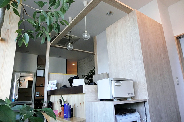 木と観葉植物の相性は良く、気分までサッパリしていただきます