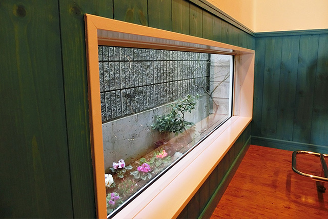 洗髪台の足元にある地窓。綺麗に育てて自由に飾れます