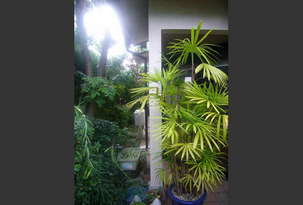 外壁が白いのは数年ぶり