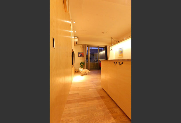 狭角のスポットライト、間接照明で光と影を作る照明計画。