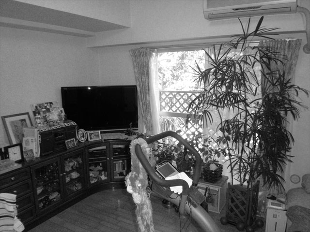 リフォーム前：リビング